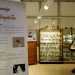 Il Museo di Mineralogia...
